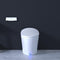 BIO BIDET DISCOVERY TOILET DLX 