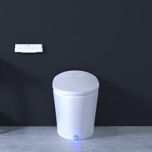 BIO BIDET DISCOVERY TOILET DLX 