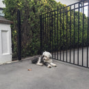 Aleko Steel Single Swing Driveway Gate - MADRID Style - 12 x 6 Feet DG12MADSSW-AP