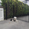 Aleko Steel Single Swing Driveway Gate - MADRID Style - 12 x 6 Feet DG12MADSSW-AP