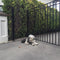 Aleko Steel Single Swing Driveway Gate - MADRID Style - 18 x 6 Feet DG18MADSSW-AP