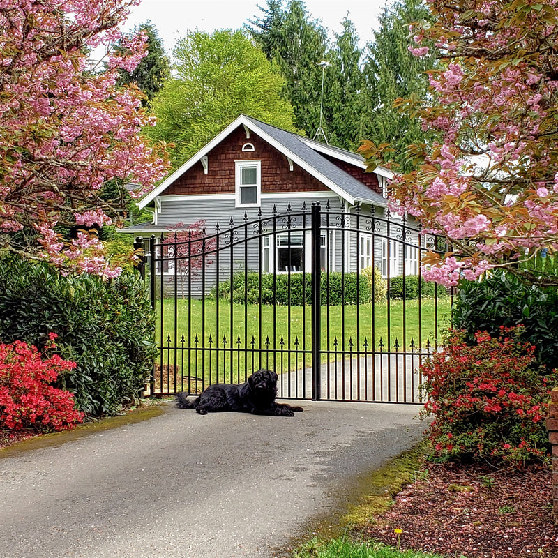 Aleko Steel Dual Swing Driveway Gate - ST.PETERSBURG Style - 18 x 6 Feet DG18STPD-AP