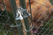 ALEKO DIY Chain Link Dog Kennel - 10 x 10 x 6 Feet DK10X10X6-AP