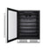 Empava 24" Freestanding & Under Counter Beverage Fridge BR02S
